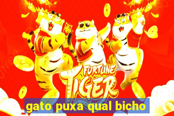 gato puxa qual bicho